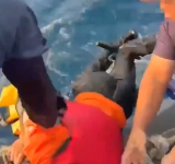 三和外海SUP翻覆 ! 海巡、漁民即時救援 2人平安上岸